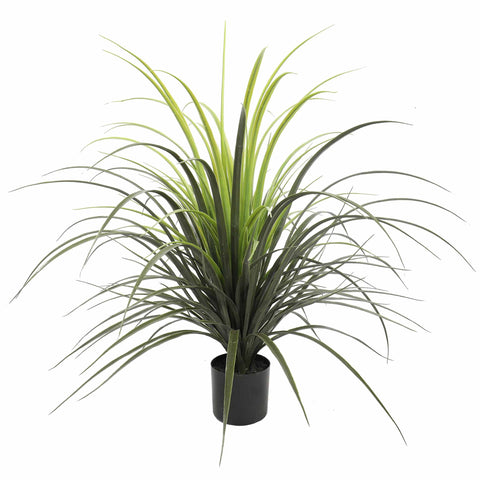 Yucca Grass Plant (UV)