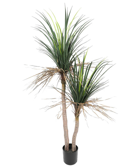 Grass Yucca Tree Double Trunk (UV)