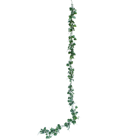 Chain of Hearts Vine - EvergreenWalls