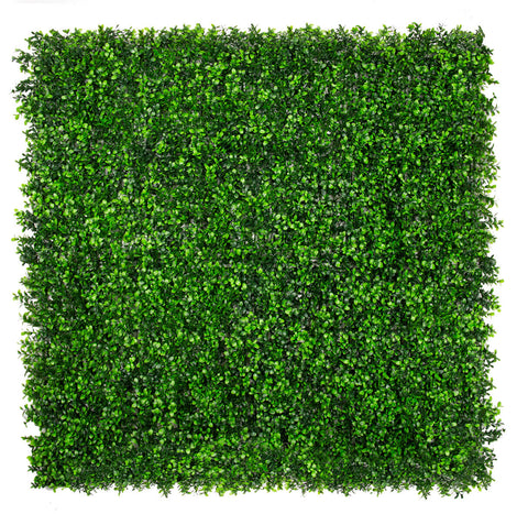 Classic Boxwood Artificial Green Wall