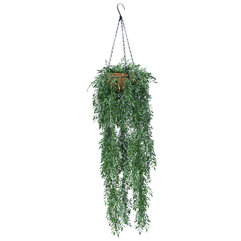 Ferns Hanging Basket (UV)