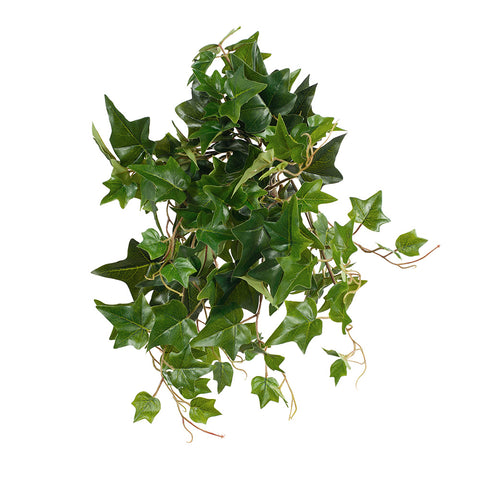 Ivy Hanging Bush Green 52cm (UV)