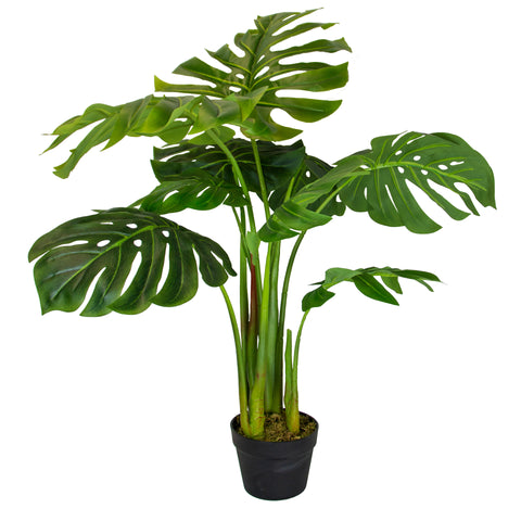 Monstera Plant 85cm