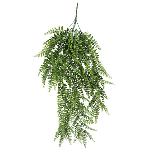 Boston Fern Hanging Bush 110cml - EvergreenWalls
