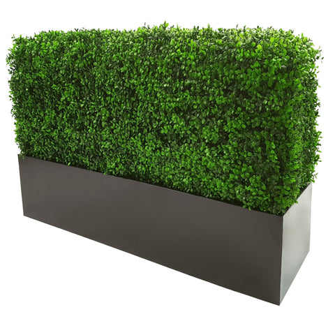 Portable Boxwood Hedge