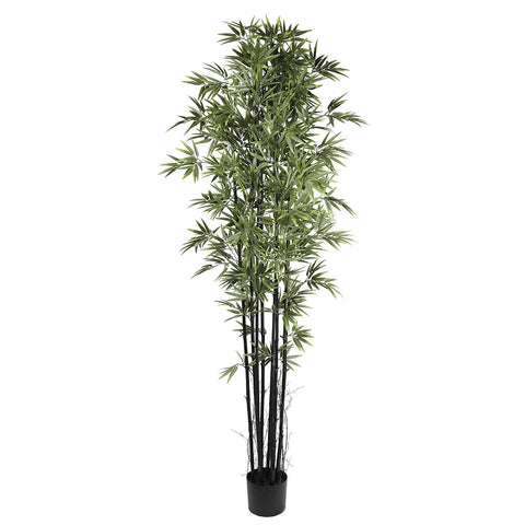 Japanese Bamboo Plant 180cm (UV)
